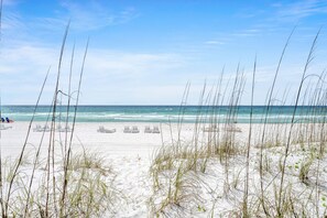 Ein Strand mit weißem Sand, klarem, blauem Wasser und vereinzelter Vegetation.