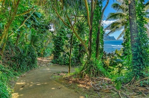Ein schmaler Betonweg, umgeben von dichtem tropischen Grün, führt zu einem Strand mit Blick auf das Meer und entfernte Berge.