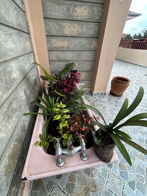 A potted plant arrangement on a balcony with a tiled floor and a metal railing. - The PentHouse (Rungiri)