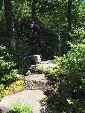 A garden pathway with rocks and plants, surrounded by trees and a street lamp. - Gorgeous 3-bedroom house with AC in West Tisbury (West Tisbury)