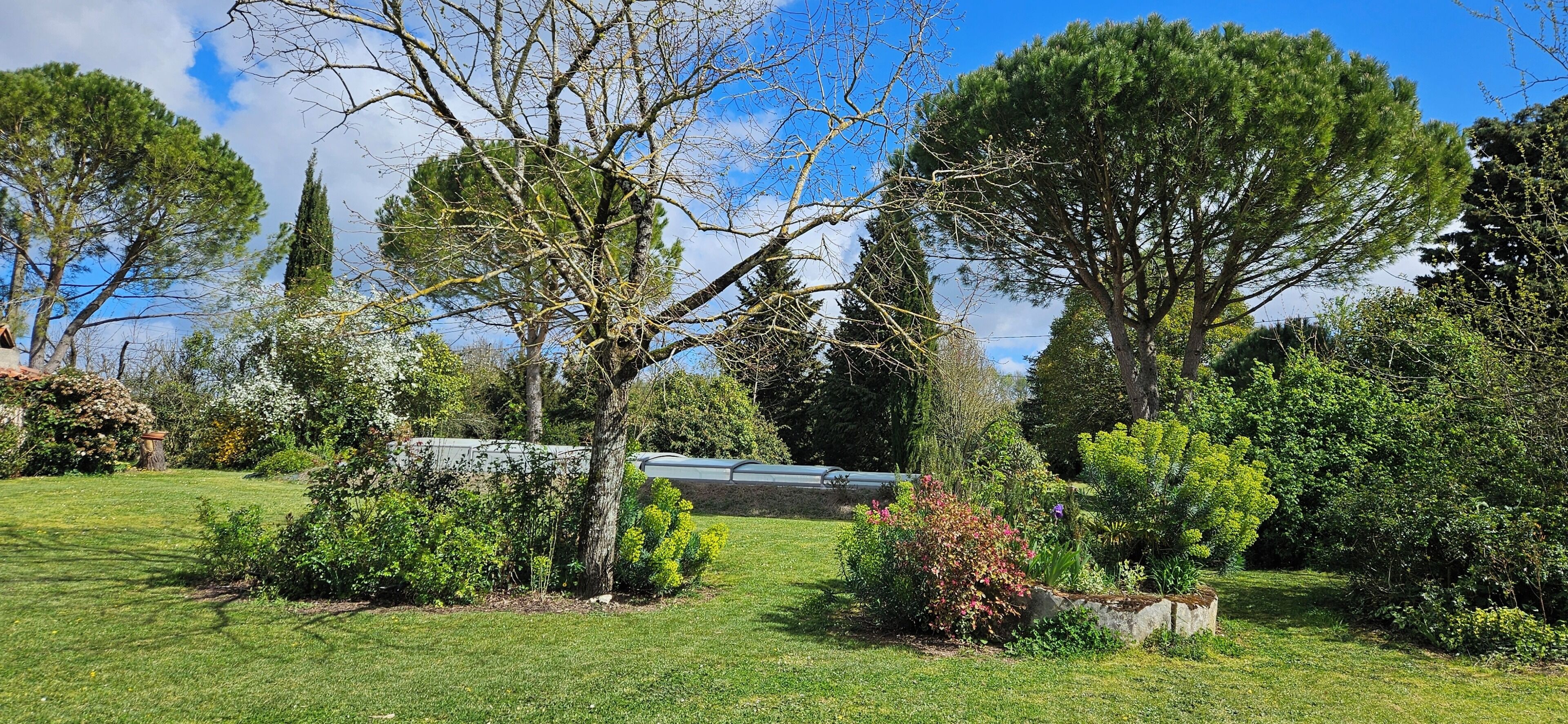 A garden with various trees and shrubs, a stone wall, and a clear blue sky.