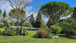 Ein Garten mit verschiedenen Bäumen und Sträuchern, einer Steinmauer und blauem Himmel.