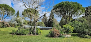 Ein Garten mit verschiedenen Bäumen und Sträuchern, einer Steinmauer und blauem Himmel.