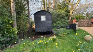 A small, dark wooden structure with a window, surrounded by a metal fence and a garden with daffodils. - A lodge/cabin that sleeps 2 guests  in 1 bedroom - 3 nights for the price of 2 nights in July! (Ringwood)