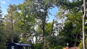 A small black cabin with a door and window, surrounded by a fence and trees. - A lodge/cabin that sleeps 2 guests  in 1 bedroom - 3 nights for the price of 2 nights in July! (Ringwood)