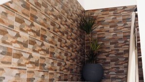 Una escalera con paredes de diseño de piedra y una planta en maceta.