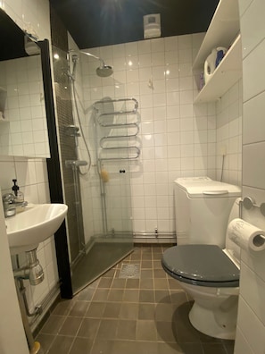 Dusche, Haartrockner, Handtücher, Seife