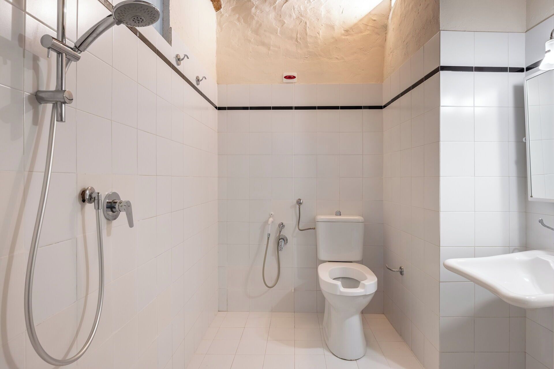 Shower, hair dryer, bidet