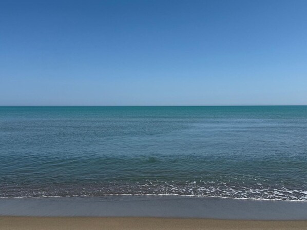 Ein Strand mit ruhigem Wasser und blauem Himmel.