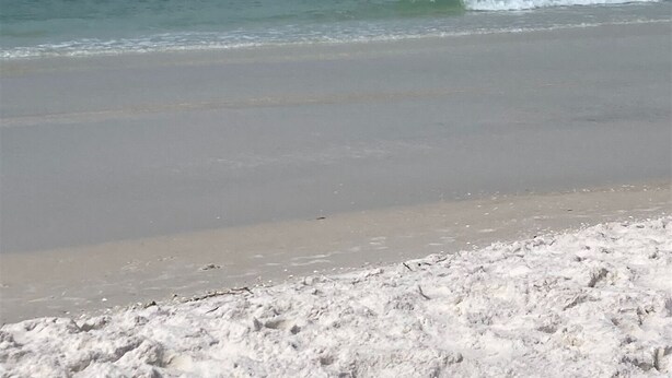 Een strand met een zandkust en rustige golven.