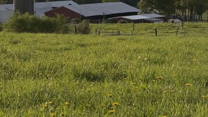 Un paysage rural avec une tour à grain, des granges et un pré clôturé.