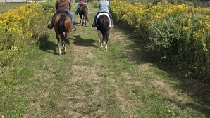 Un sentier où l’on croise des chevaux et des cavaliers.