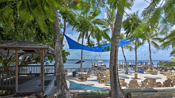 A beachside resort with a pool, outdoor seating, and palm trees.
