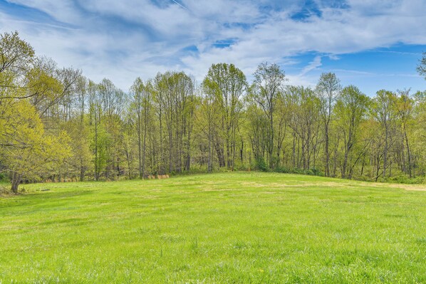Un champ herbeux avec des arbres en arrière-plan.