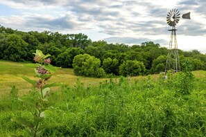 A windmill in a grassy field with trees in the background. - Fire Pit & Amazing Views! 15-acre Colfax Farmhouse (Colfax)