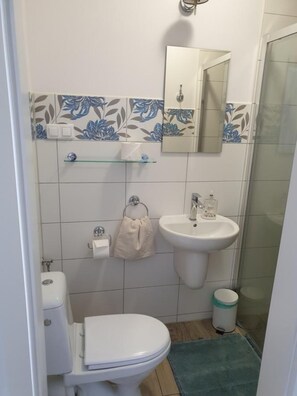 Apartment | Bathroom - Agritourism, Family Studio (gmina Wolin)