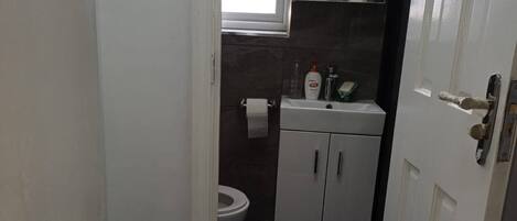 A narrow bathroom with a toilet, sink, and mirror.