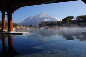 Spa - Yama No Hotel Musouen (Yufu)