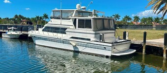 Reel Excuse - Yacht Living