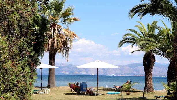 A beach with palm trees, umbrellas, and lounge chairs. - Serene studio with AC in lovely Lefkimmi Corfu (Lefkimmi Corfu)