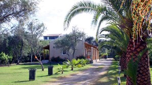 A pathway leading to a building with a modern design, surrounded by palm trees and a well-maintained lawn. - Serene studio with AC in lovely Lefkimmi Corfu (Lefkimmi Corfu)
