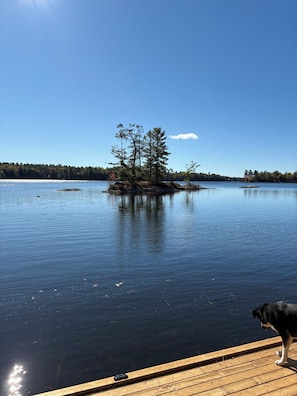 Tyyni järvi, jossa on puinen laituri ja koira seisoo sen päällä.