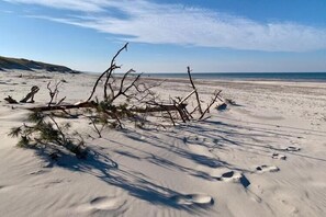 Beach nearby - Holiday cottages by the sea in an oasis of peace (Smoldzino)