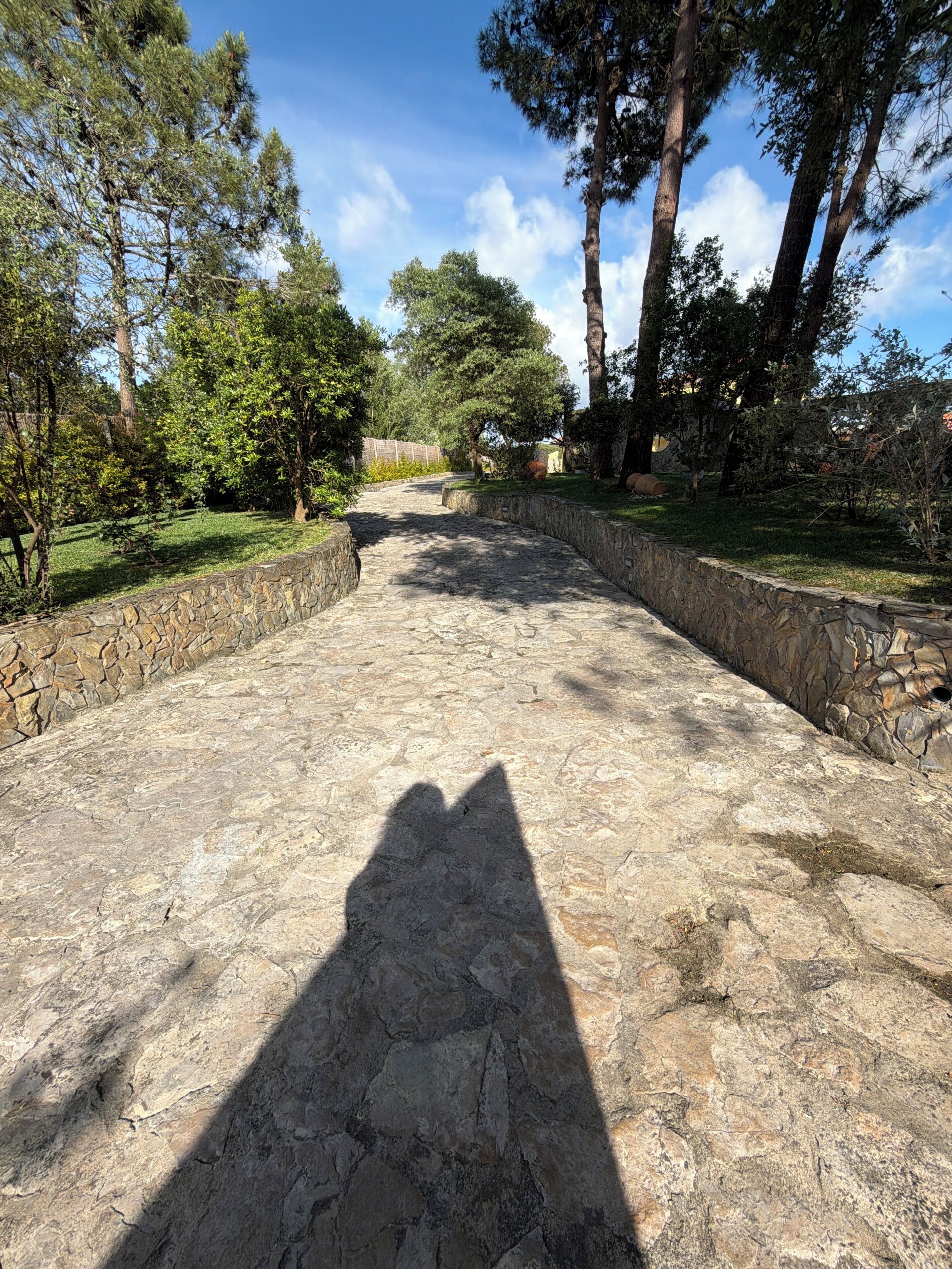 Un chemin de pierres qui traverse un jardin, avec des arbres et un mur de pierres d’un côté.