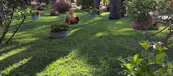 Quinta dos Amarelos Sesimbra