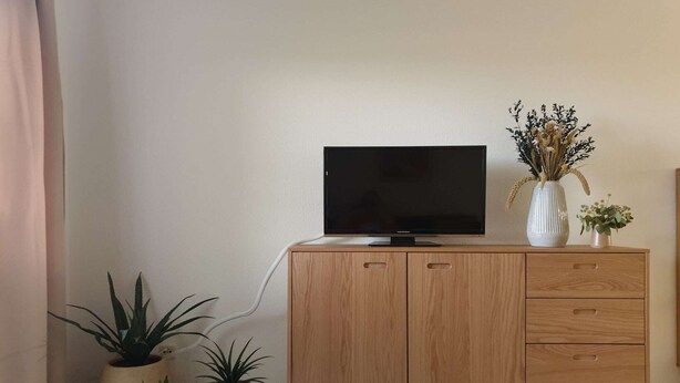 Ett träskåp med en tv ovanpå, krukväxter och en vas med torkade blommor.