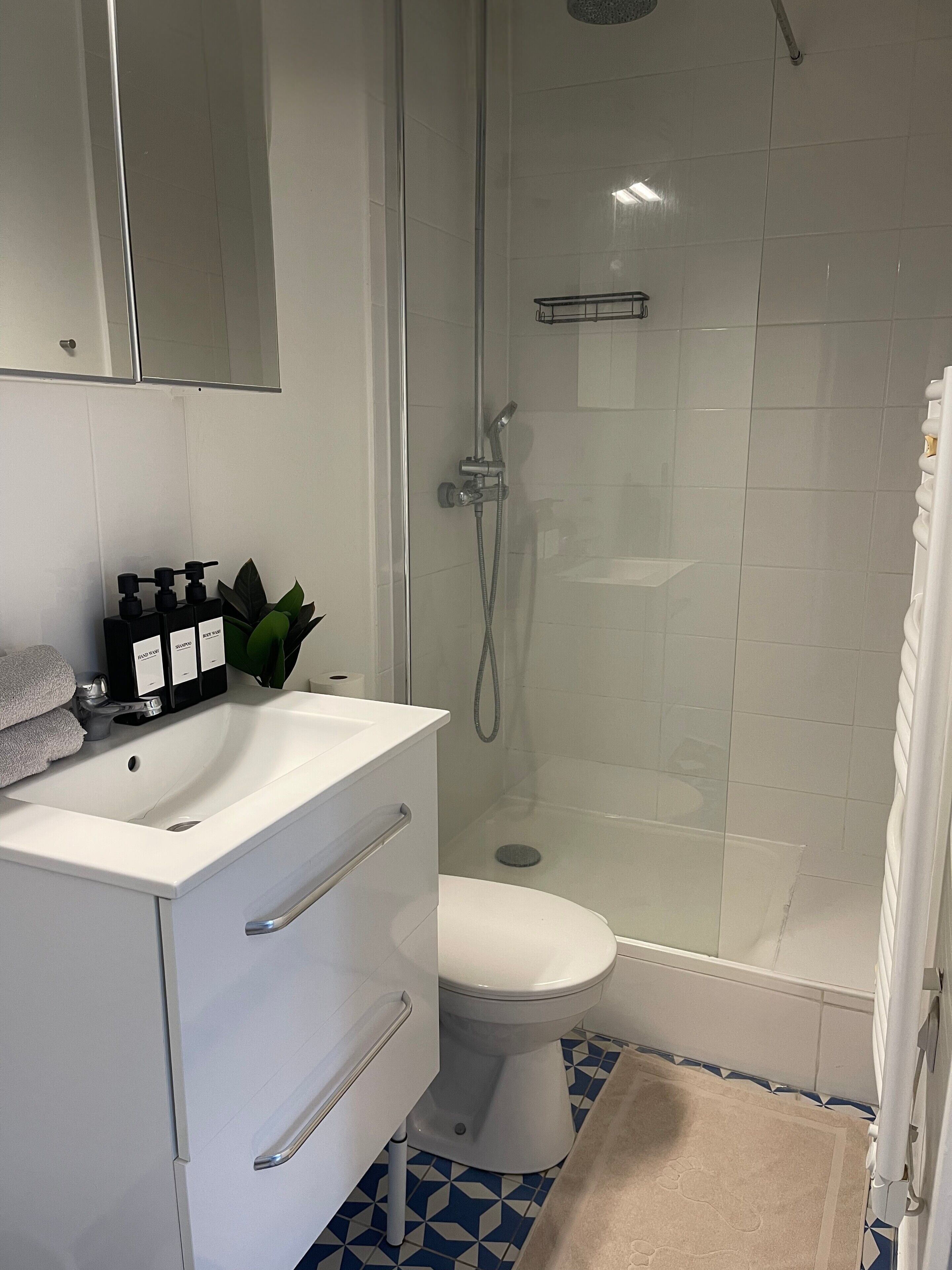 Shower, hair dryer, towels, soap