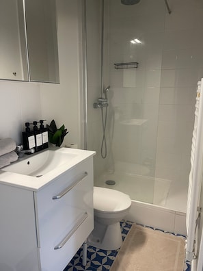 Douche, sèche-cheveux, serviettes fournies, savon