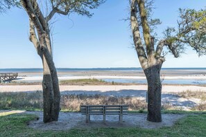 Un banco bajo dos árboles cerca de una playa con un muelle de madera al fondo.