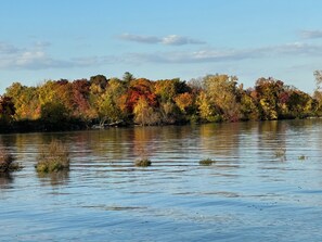 A calm lake with trees in autumn colors reflecting on the water.