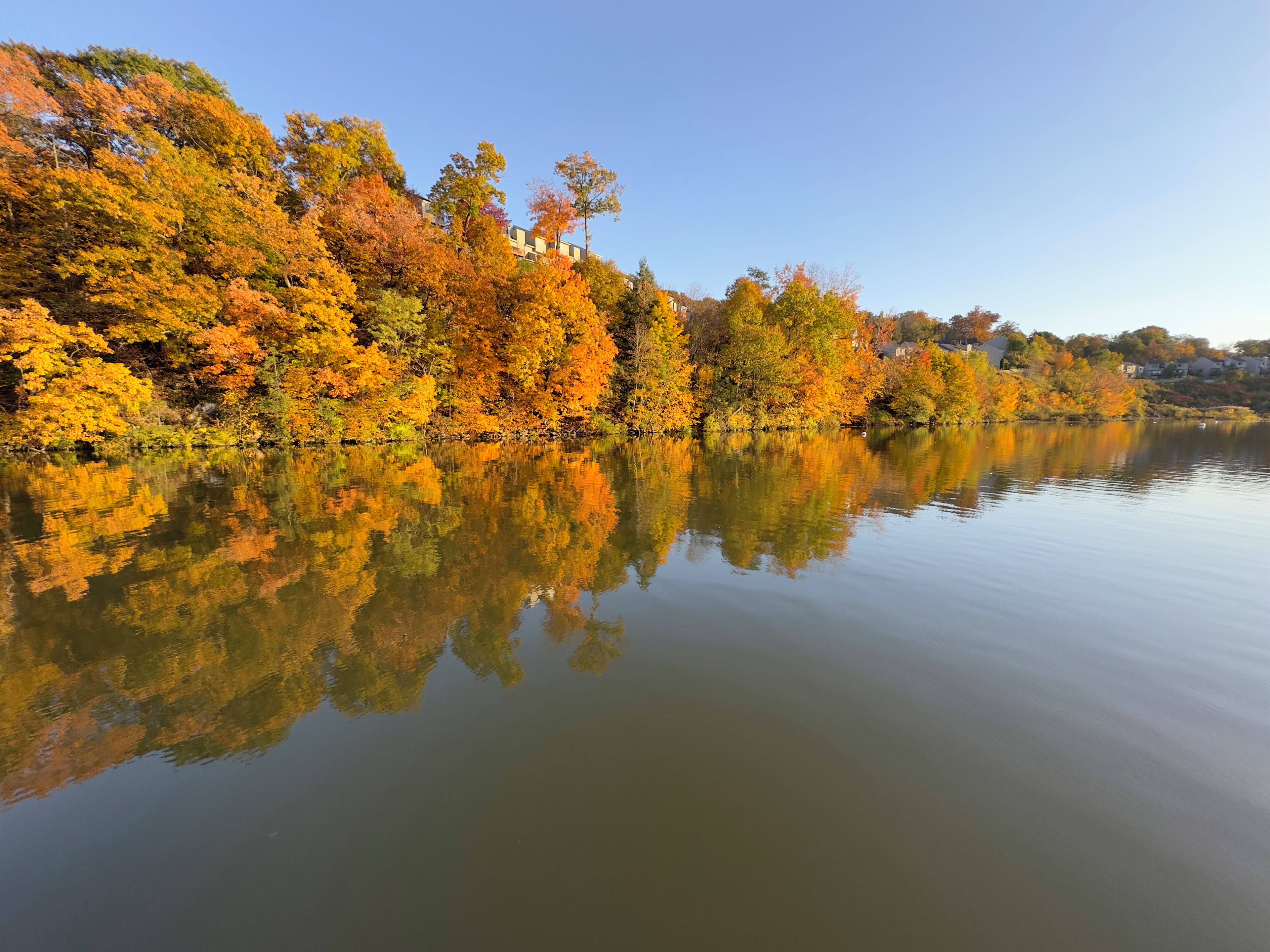 Ein ruhiger See spiegelt Bäume mit Herbstlaub wider.