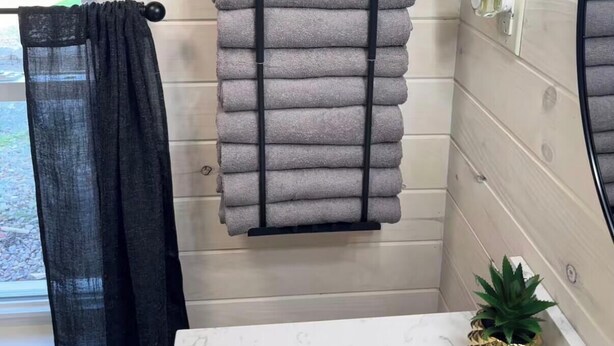 Ein Badezimmer mit Handtuchhalter, Spiegel, Waschbecken und einer Topfpflanze.