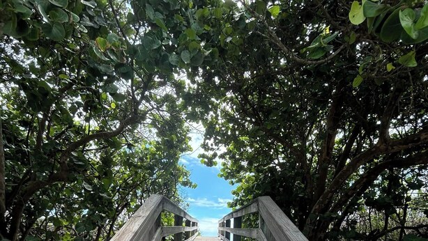 A wooden staircase leading through a dense canopy of trees. - Coastal Comfort in Port St. Lucie – Open Plan Home - Summer Fun winter Escape (Port st Lucie)