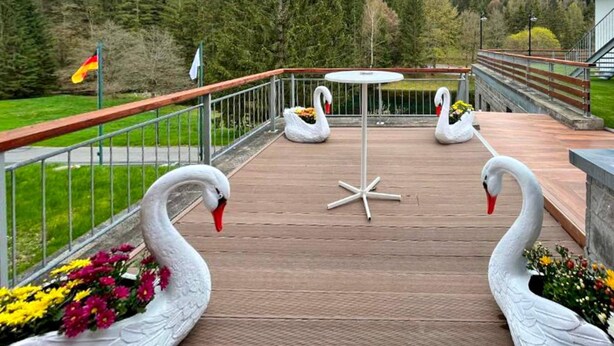 Een terras met zwanen en bloemen, omringd door een hekwerk en een beboste heuvel.
