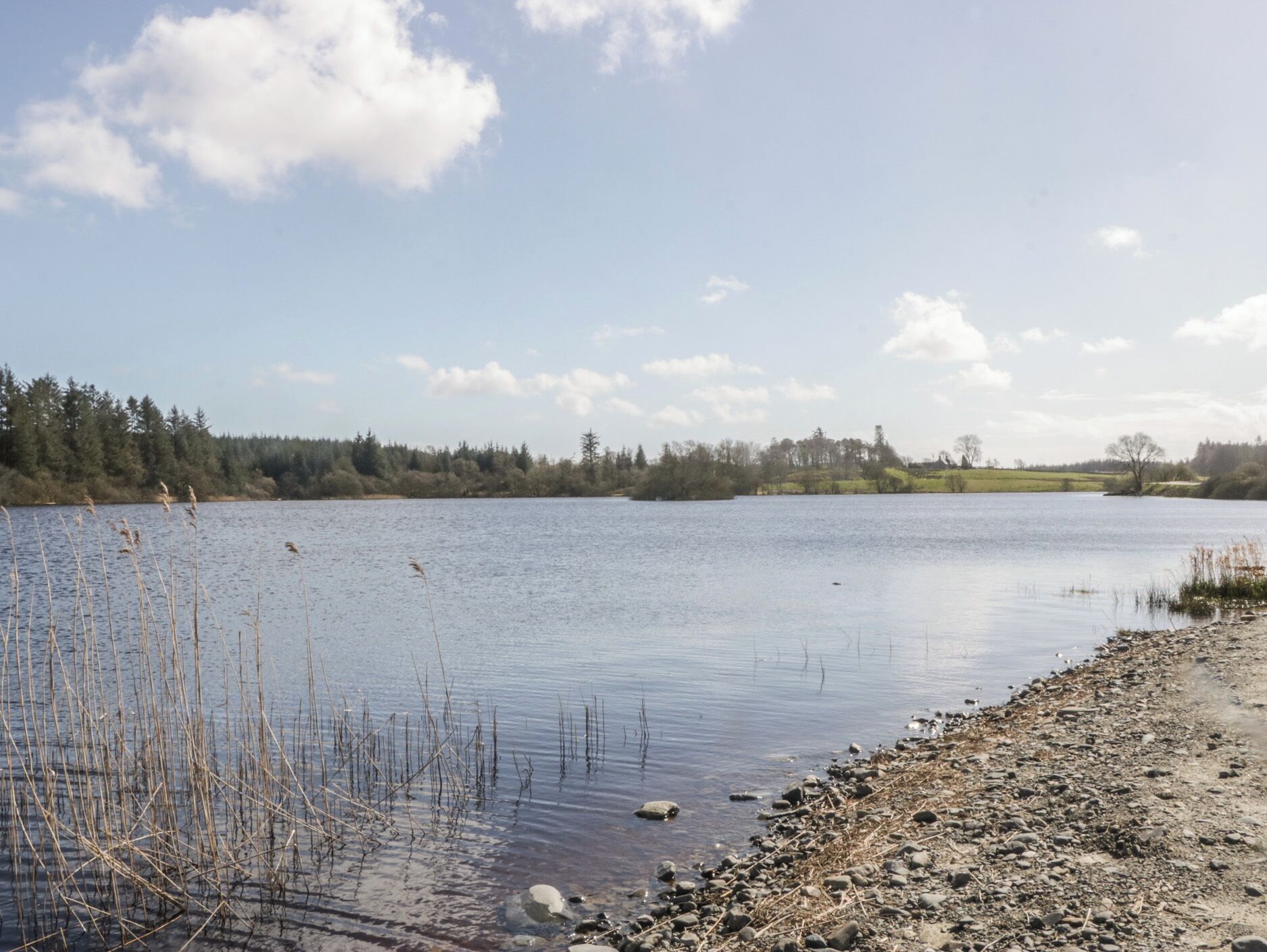 A calm lake with a rocky shoreline and sparse vegetation.