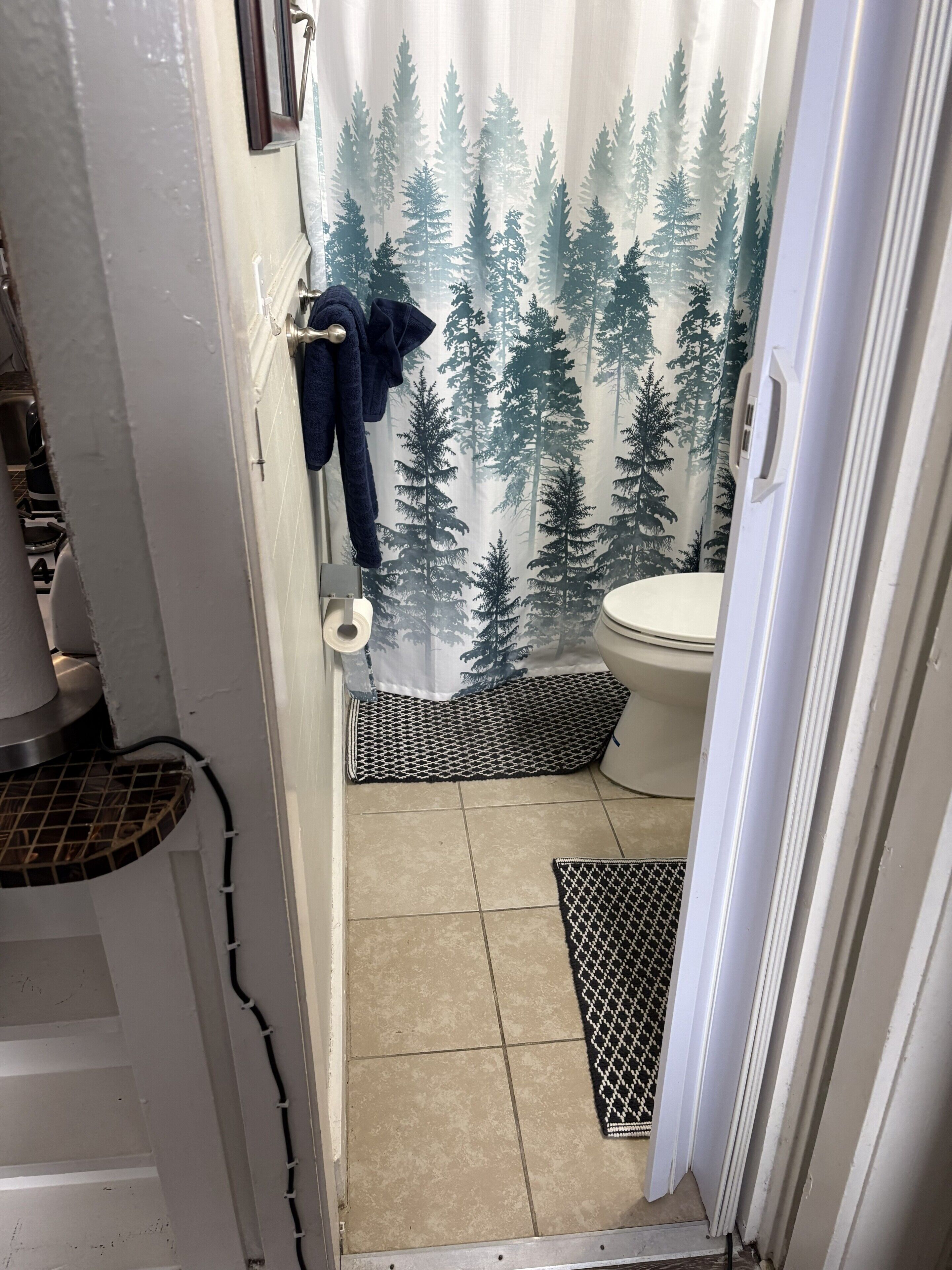 Hair dryer, towels, soap, toilet paper