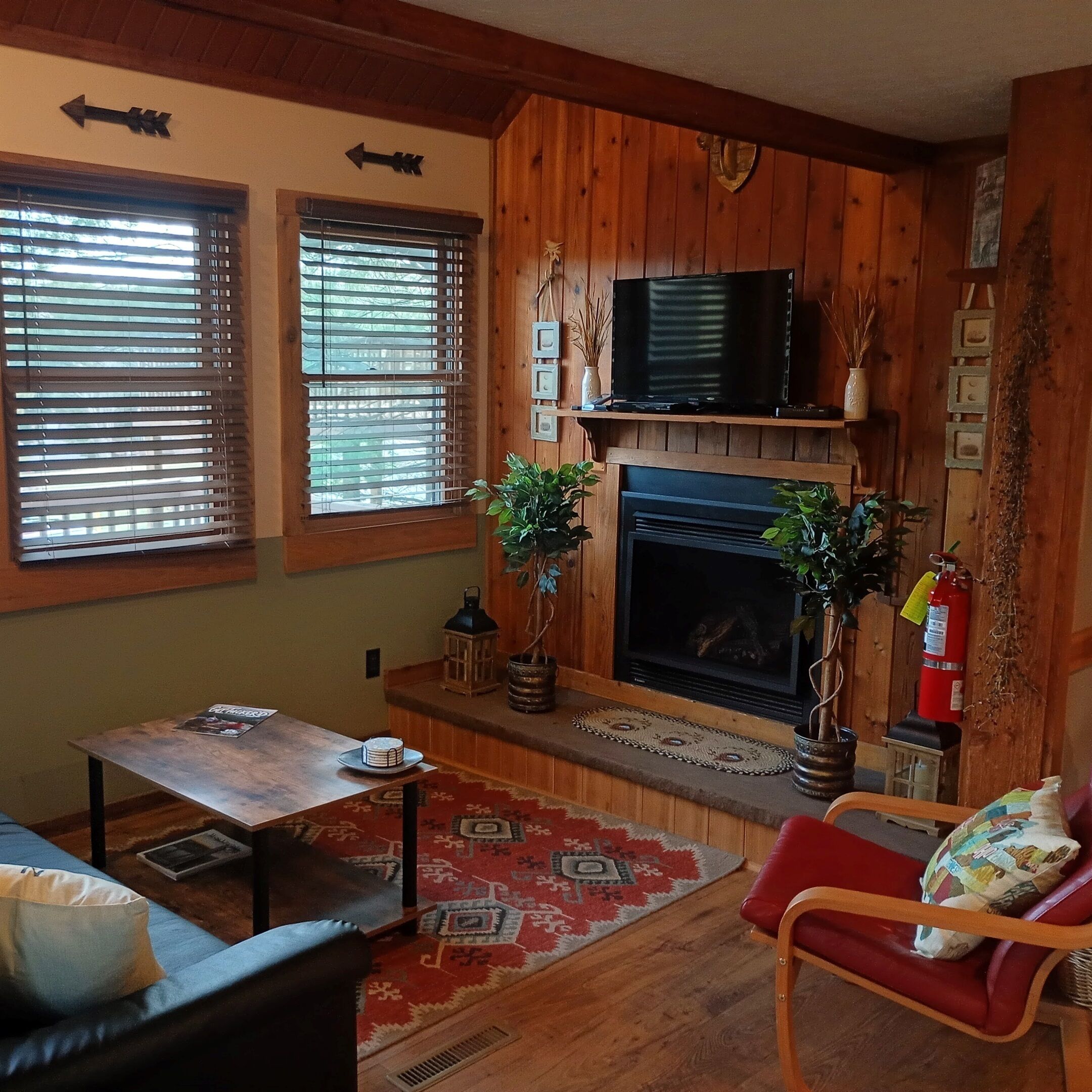 TV connectée, cheminée