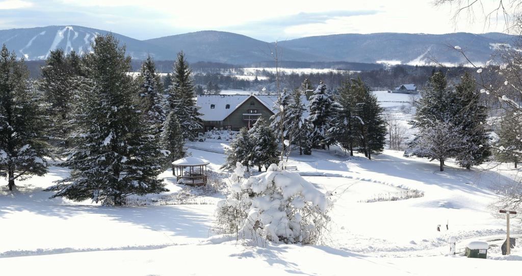 A snow-covered landscape with a cabin and trees.