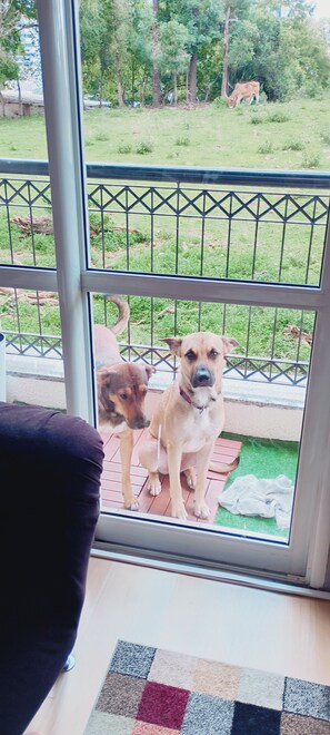 Interior - Vrbo Property (Caxias do Sul)