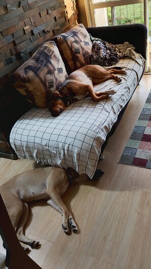 Interior - Vrbo Property (Caxias do Sul)