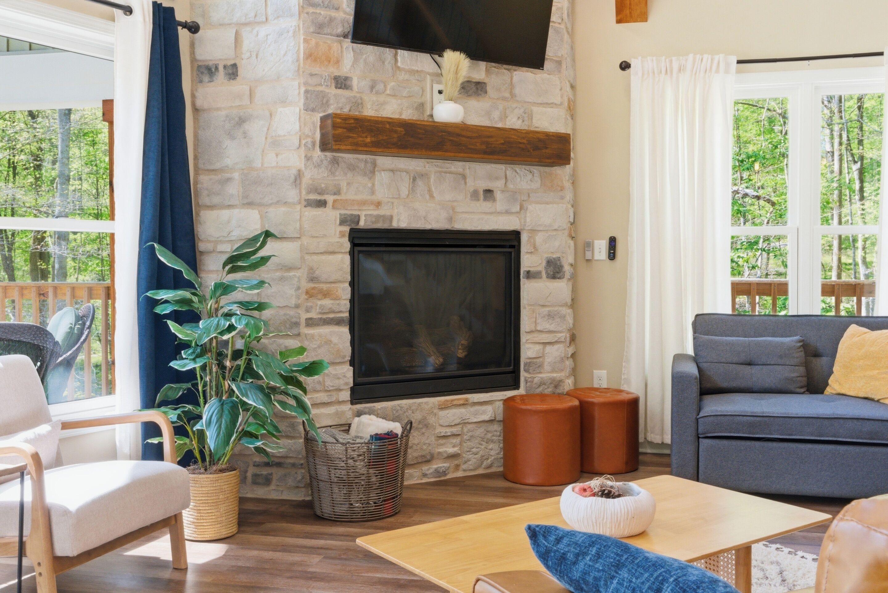 TV, fireplace, DVD player, books