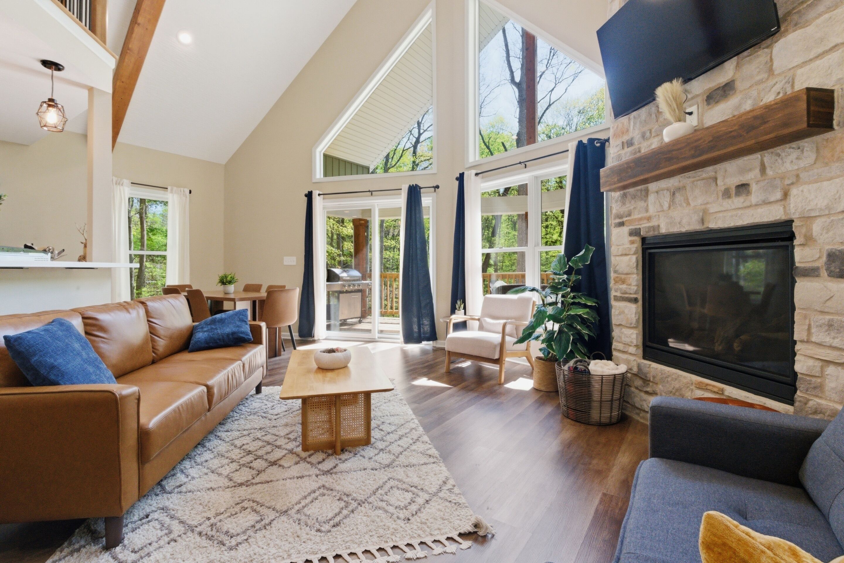 TV, fireplace, DVD player, books