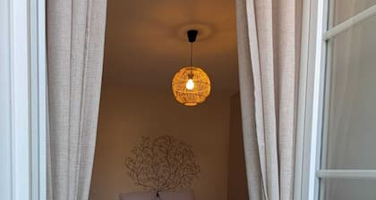 Town house in Lot et Garonne with private courtyard