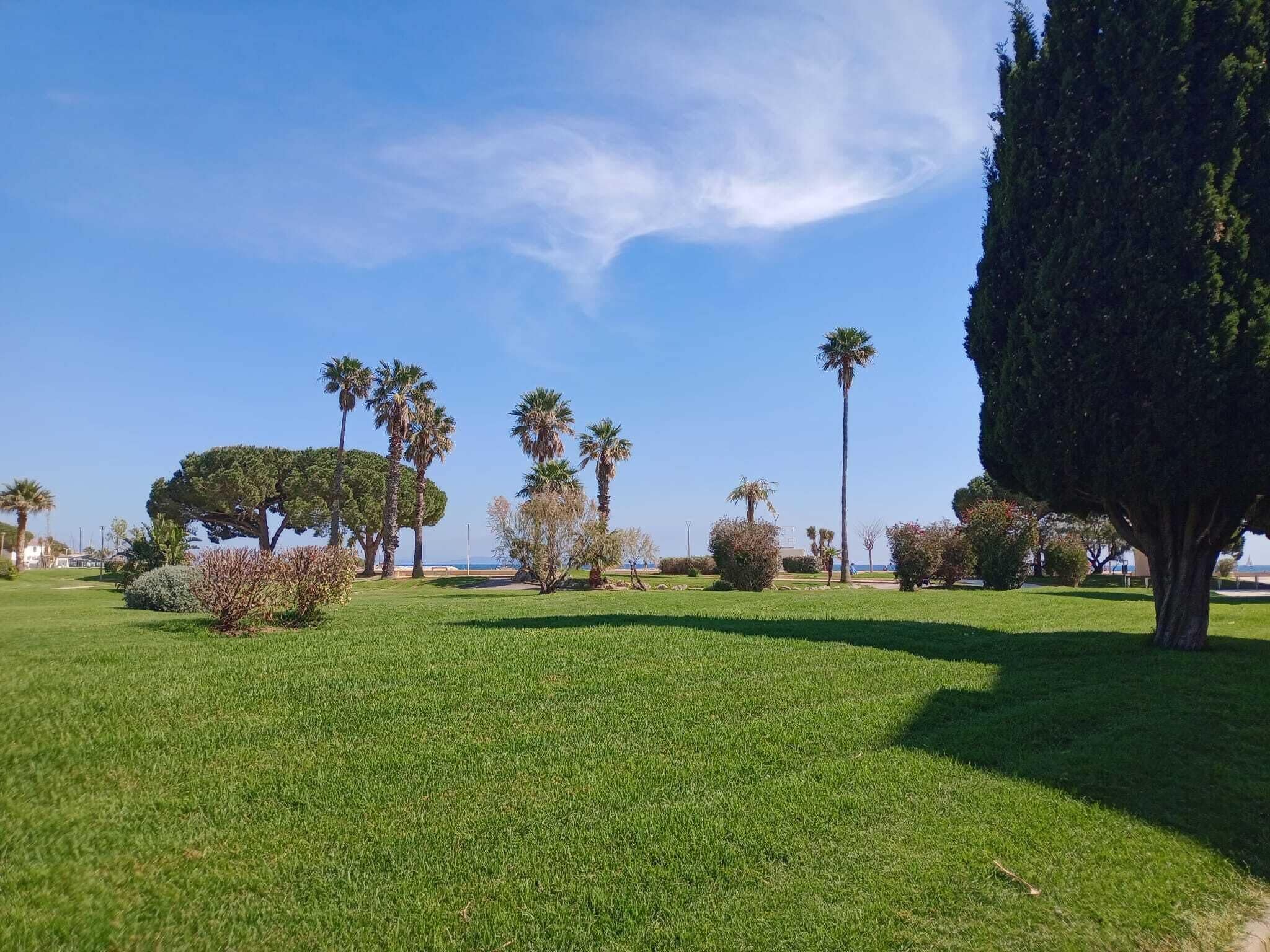 A well-maintained grassy area with various trees and shrubs, a clear sky, and a distant view of the sea.