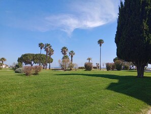 Ein gepflegter Rasen mit verschiedenen Bäumen und Sträuchern, einem klaren Himmel und einem weit entfernten Blick auf das Meer.