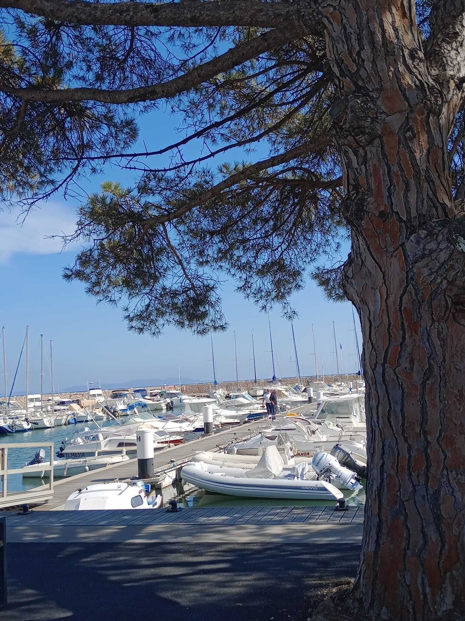 Marina